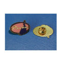 Esmalte Gold Plated Die Casting Metal Badge (GZHY-CY-030)